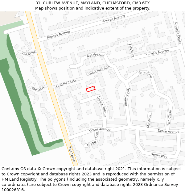 31, CURLEW AVENUE, MAYLAND, CHELMSFORD, CM3 6TX: Location map and indicative extent of plot