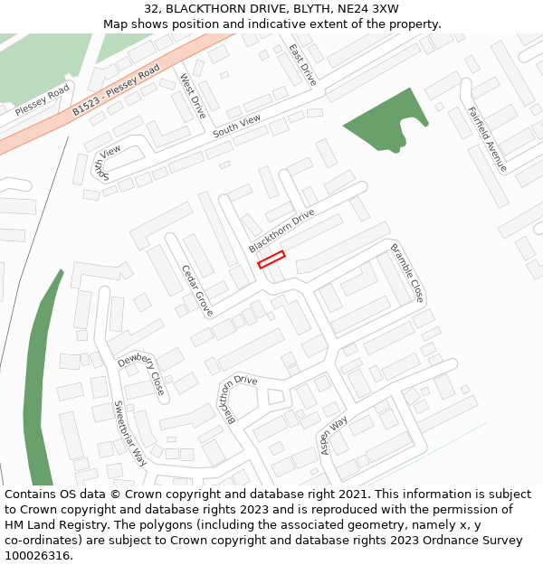 32, BLACKTHORN DRIVE, BLYTH, NE24 3XW: Location map and indicative extent of plot