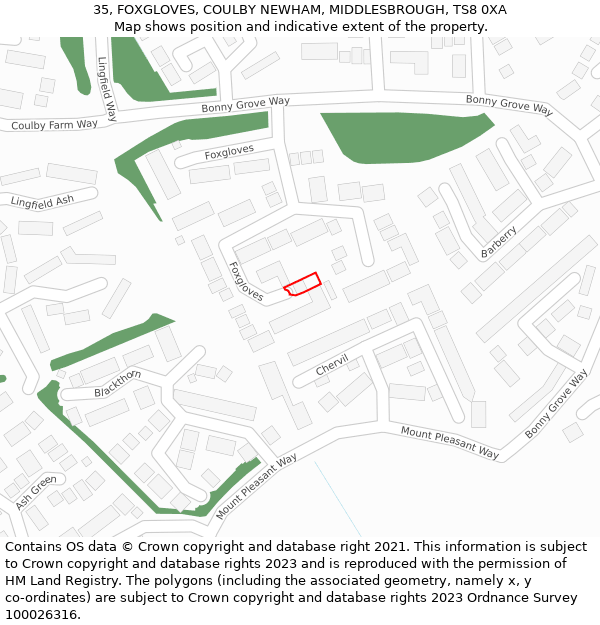 35, FOXGLOVES, COULBY NEWHAM, MIDDLESBROUGH, TS8 0XA: Location map and indicative extent of plot