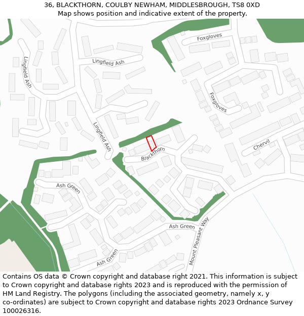 36, BLACKTHORN, COULBY NEWHAM, MIDDLESBROUGH, TS8 0XD: Location map and indicative extent of plot