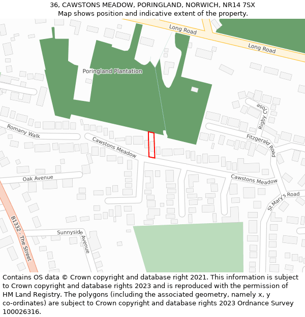 36, CAWSTONS MEADOW, PORINGLAND, NORWICH, NR14 7SX: Location map and indicative extent of plot