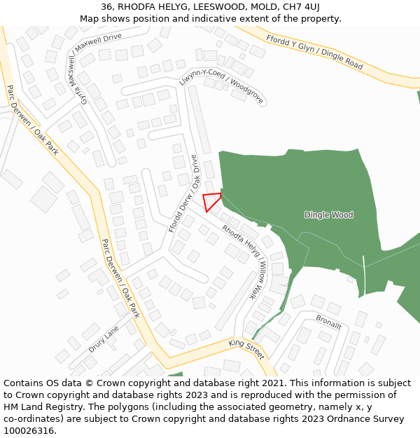 36, RHODFA HELYG, LEESWOOD, MOLD, CH7 4UJ: Location map and indicative extent of plot