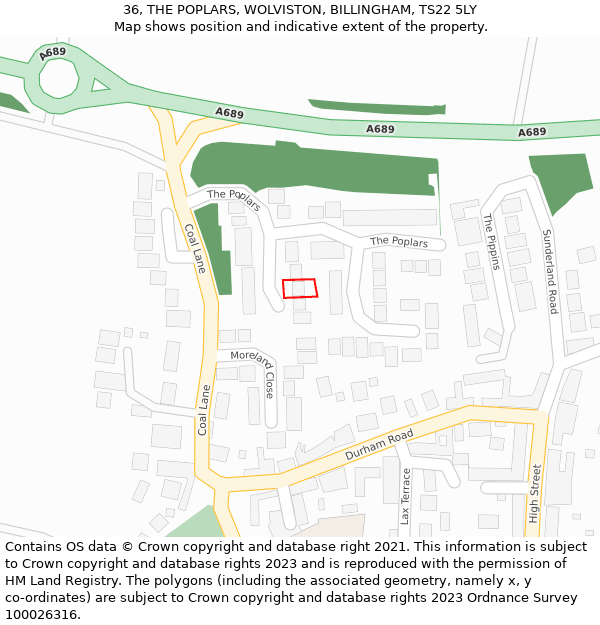 36, THE POPLARS, WOLVISTON, BILLINGHAM, TS22 5LY: Location map and indicative extent of plot