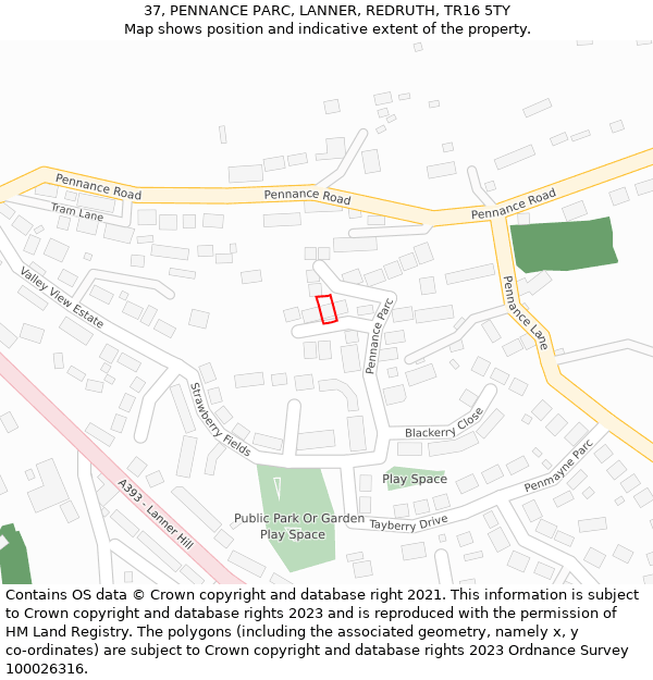 37, PENNANCE PARC, LANNER, REDRUTH, TR16 5TY: Location map and indicative extent of plot