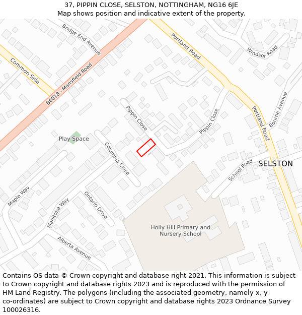 37, PIPPIN CLOSE, SELSTON, NOTTINGHAM, NG16 6JE: Location map and indicative extent of plot