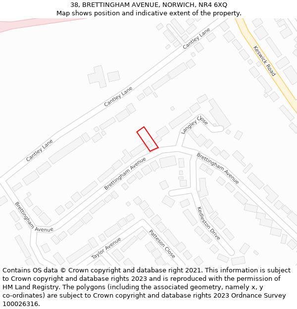38, BRETTINGHAM AVENUE, NORWICH, NR4 6XQ: Location map and indicative extent of plot
