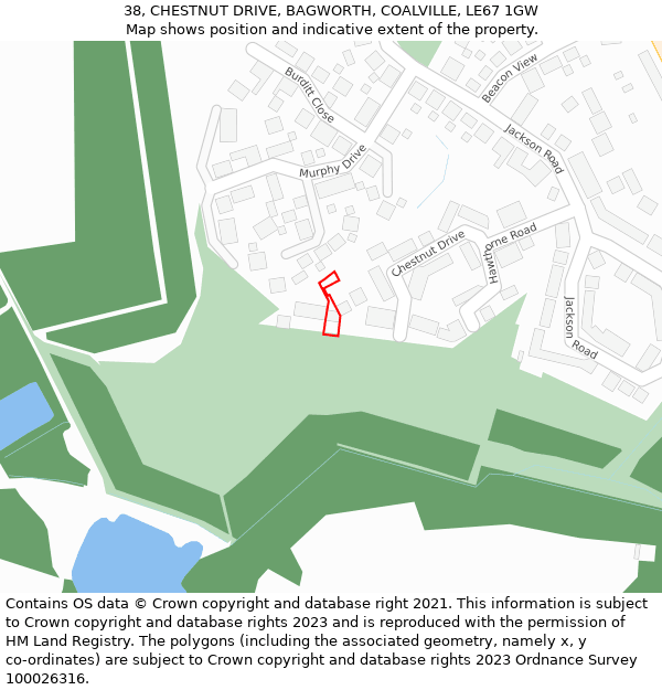 38, CHESTNUT DRIVE, BAGWORTH, COALVILLE, LE67 1GW: Location map and indicative extent of plot