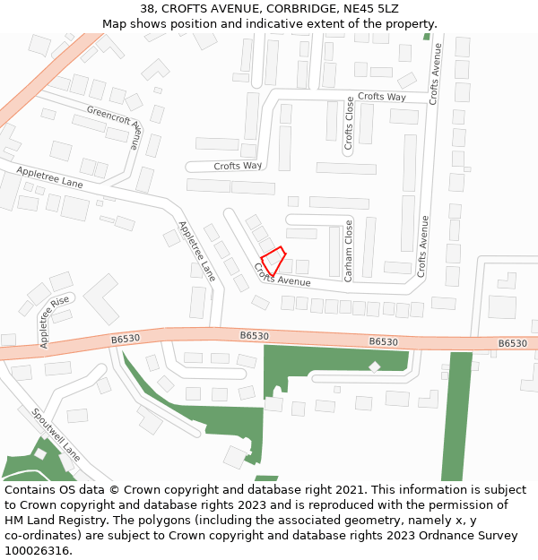 38, CROFTS AVENUE, CORBRIDGE, NE45 5LZ: Location map and indicative extent of plot