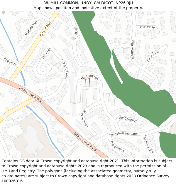 38, MILL COMMON, UNDY, CALDICOT, NP26 3JH: Location map and indicative extent of plot