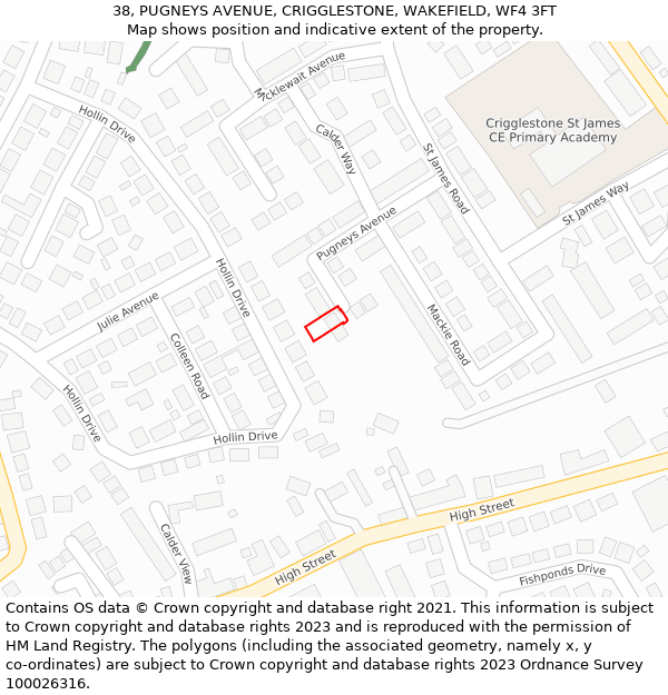 38, PUGNEYS AVENUE, CRIGGLESTONE, WAKEFIELD, WF4 3FT: Location map and indicative extent of plot