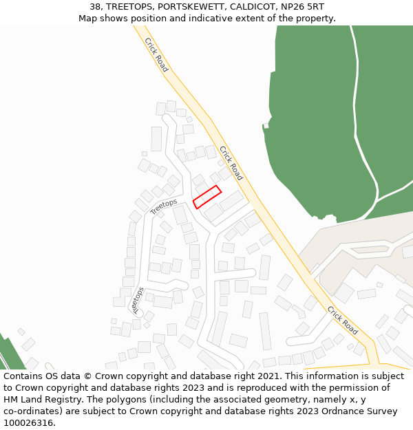 38, TREETOPS, PORTSKEWETT, CALDICOT, NP26 5RT: Location map and indicative extent of plot