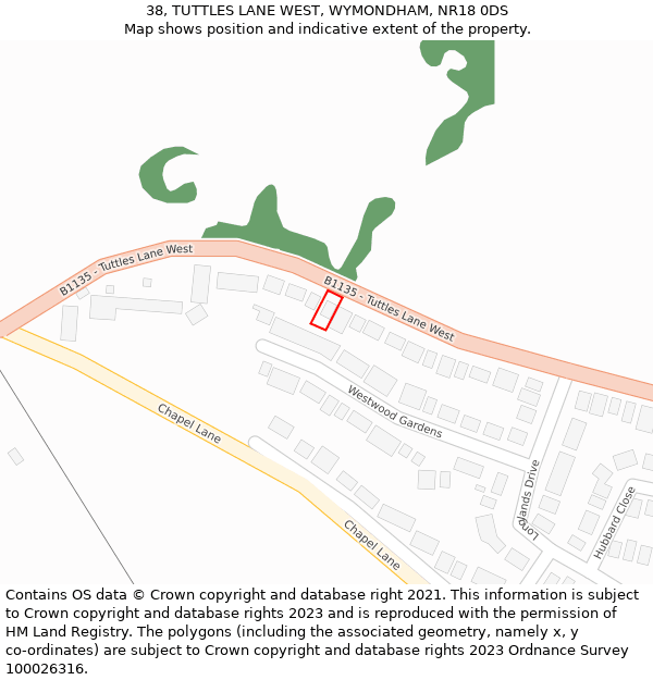 38, TUTTLES LANE WEST, WYMONDHAM, NR18 0DS: Location map and indicative extent of plot