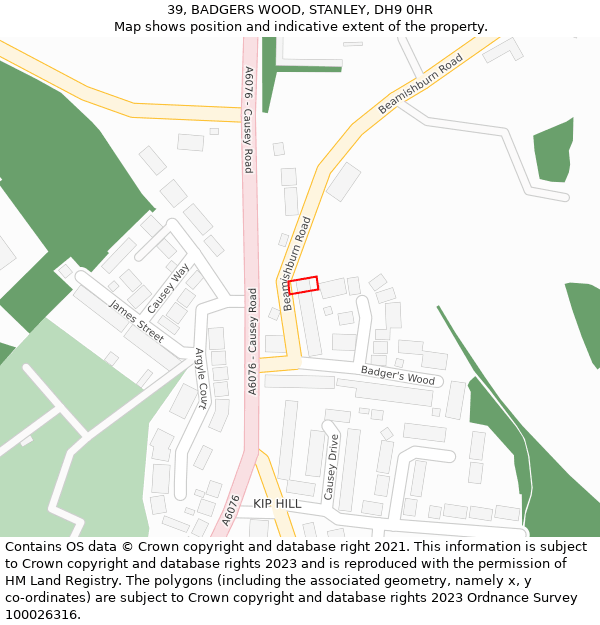 39, BADGERS WOOD, STANLEY, DH9 0HR: Location map and indicative extent of plot