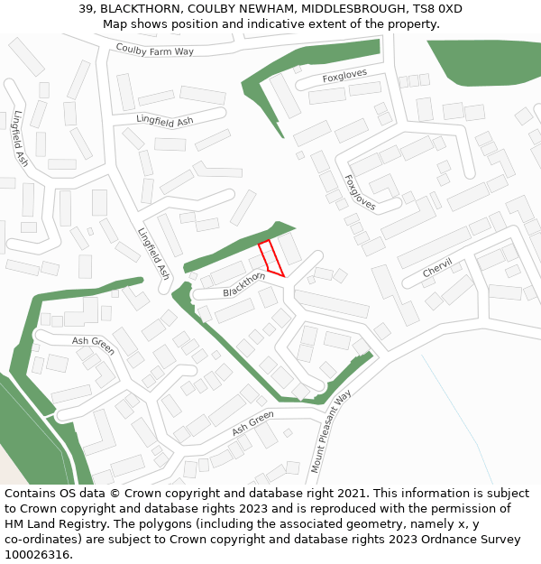 39, BLACKTHORN, COULBY NEWHAM, MIDDLESBROUGH, TS8 0XD: Location map and indicative extent of plot