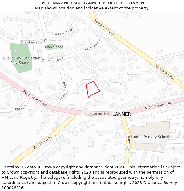 39, PENMAYNE PARC, LANNER, REDRUTH, TR16 5TN: Location map and indicative extent of plot