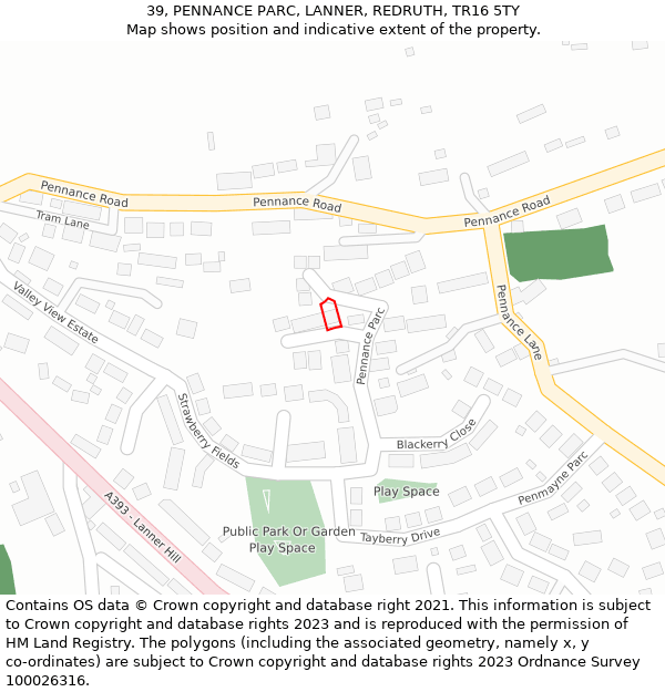 39, PENNANCE PARC, LANNER, REDRUTH, TR16 5TY: Location map and indicative extent of plot