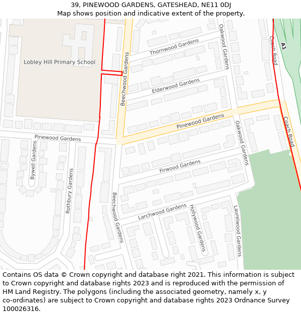 39, PINEWOOD GARDENS, GATESHEAD, NE11 0DJ: Location map and indicative extent of plot