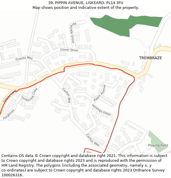 39, PIPPIN AVENUE, LISKEARD, PL14 3FU: Location map and indicative extent of plot