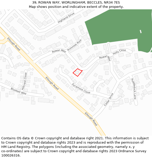 39, ROWAN WAY, WORLINGHAM, BECCLES, NR34 7ES: Location map and indicative extent of plot