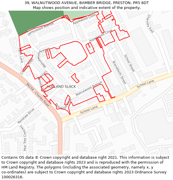 39, WALNUTWOOD AVENUE, BAMBER BRIDGE, PRESTON, PR5 6DT: Location map and indicative extent of plot