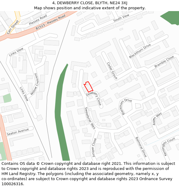 4, DEWBERRY CLOSE, BLYTH, NE24 3XJ: Location map and indicative extent of plot