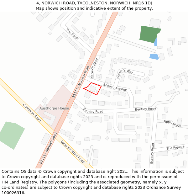 4, NORWICH ROAD, TACOLNESTON, NORWICH, NR16 1DJ: Location map and indicative extent of plot
