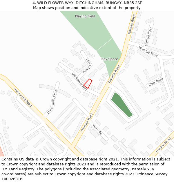 4, WILD FLOWER WAY, DITCHINGHAM, BUNGAY, NR35 2SF: Location map and indicative extent of plot