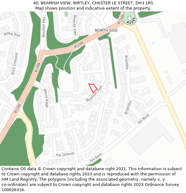 40, BEAMISH VIEW, BIRTLEY, CHESTER LE STREET, DH3 1RS: Location map and indicative extent of plot
