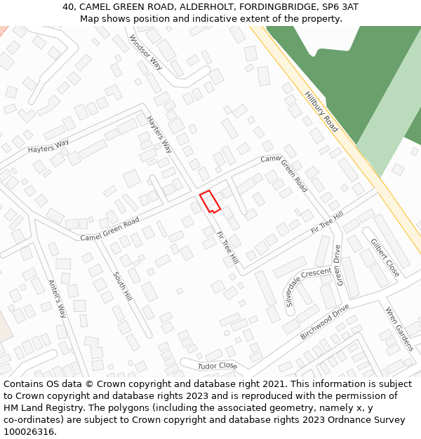 40, CAMEL GREEN ROAD, ALDERHOLT, FORDINGBRIDGE, SP6 3AT: Location map and indicative extent of plot