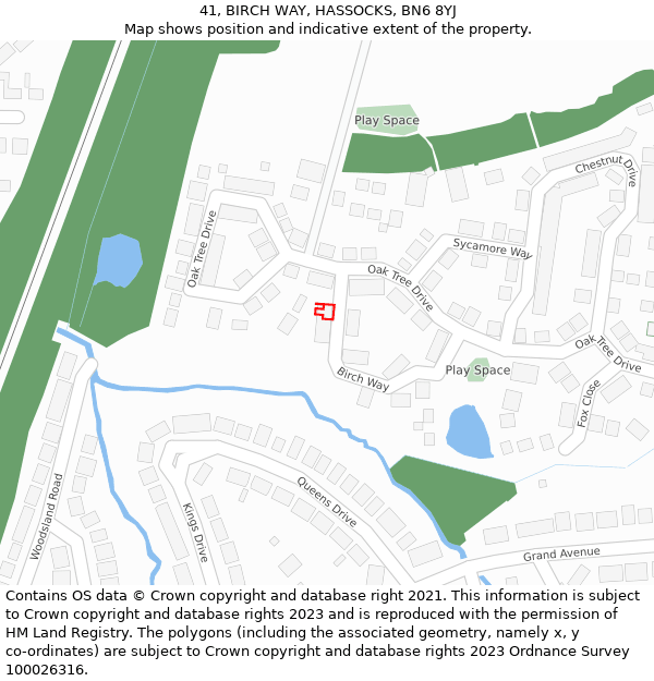 41, BIRCH WAY, HASSOCKS, BN6 8YJ: Location map and indicative extent of plot