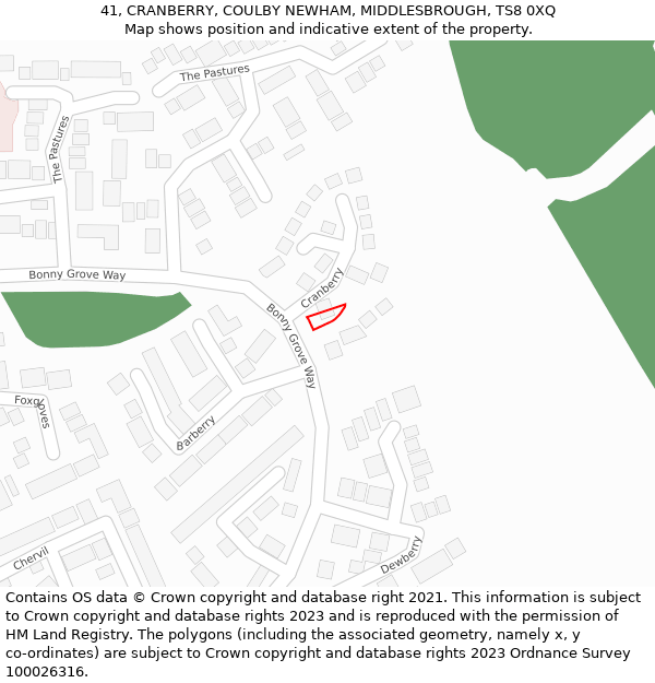 41, CRANBERRY, COULBY NEWHAM, MIDDLESBROUGH, TS8 0XQ: Location map and indicative extent of plot