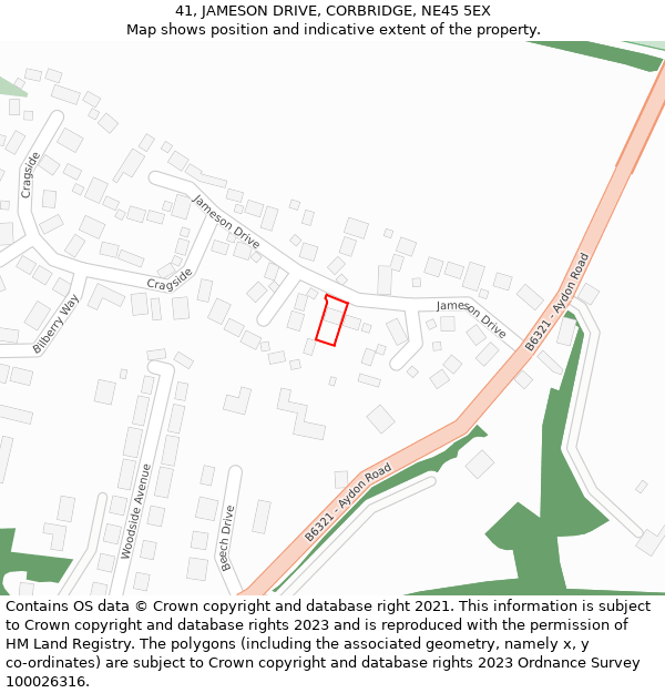 41, JAMESON DRIVE, CORBRIDGE, NE45 5EX: Location map and indicative extent of plot