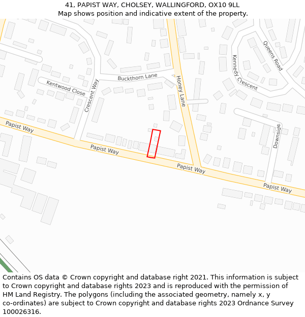 41, PAPIST WAY, CHOLSEY, WALLINGFORD, OX10 9LL: Location map and indicative extent of plot