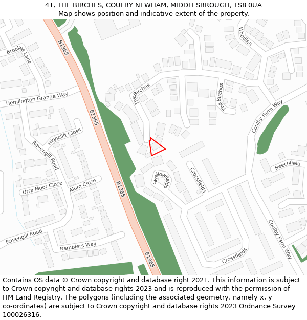 41, THE BIRCHES, COULBY NEWHAM, MIDDLESBROUGH, TS8 0UA: Location map and indicative extent of plot