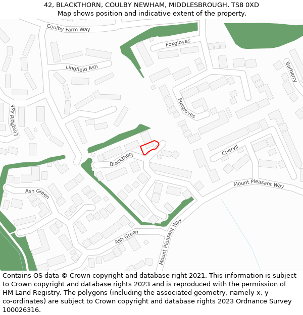 42, BLACKTHORN, COULBY NEWHAM, MIDDLESBROUGH, TS8 0XD: Location map and indicative extent of plot