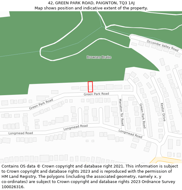 42, GREEN PARK ROAD, PAIGNTON, TQ3 1AJ: Location map and indicative extent of plot