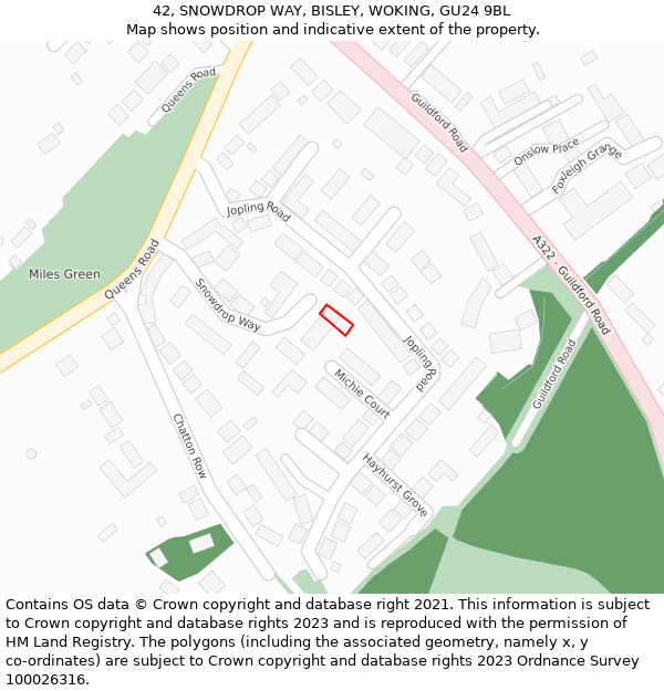 42, SNOWDROP WAY, BISLEY, WOKING, GU24 9BL: Location map and indicative extent of plot