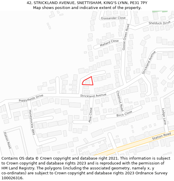 42, STRICKLAND AVENUE, SNETTISHAM, KING'S LYNN, PE31 7PY: Location map and indicative extent of plot