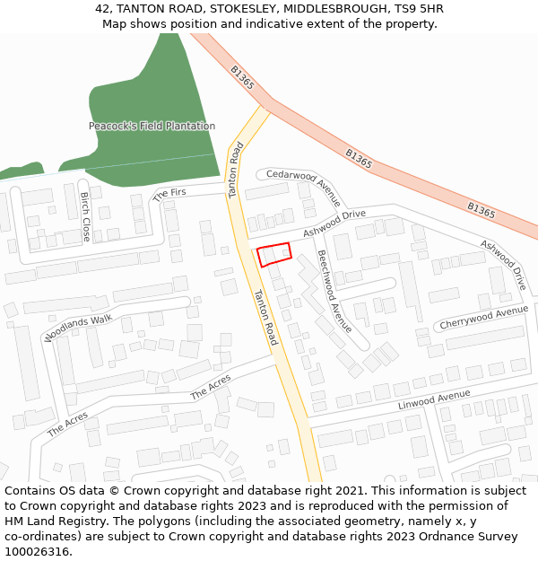 42, TANTON ROAD, STOKESLEY, MIDDLESBROUGH, TS9 5HR: Location map and indicative extent of plot