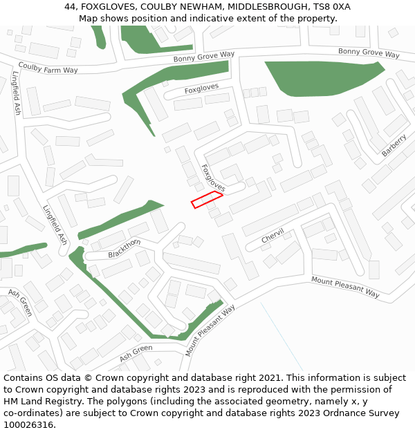 44, FOXGLOVES, COULBY NEWHAM, MIDDLESBROUGH, TS8 0XA: Location map and indicative extent of plot