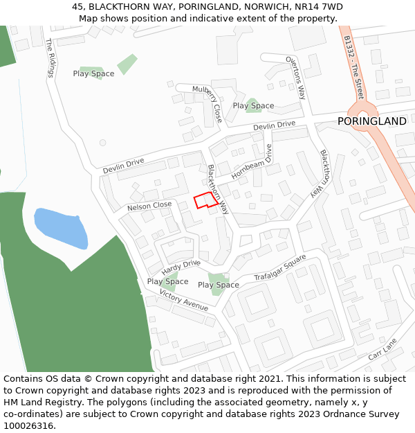 45, BLACKTHORN WAY, PORINGLAND, NORWICH, NR14 7WD: Location map and indicative extent of plot