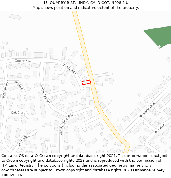 45, QUARRY RISE, UNDY, CALDICOT, NP26 3JU: Location map and indicative extent of plot