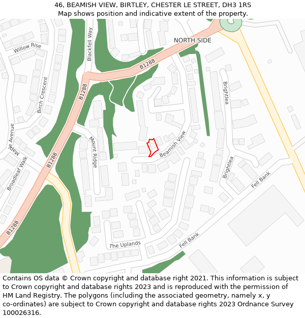 46, BEAMISH VIEW, BIRTLEY, CHESTER LE STREET, DH3 1RS: Location map and indicative extent of plot