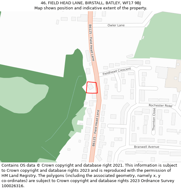 46, FIELD HEAD LANE, BIRSTALL, BATLEY, WF17 9BJ: Location map and indicative extent of plot