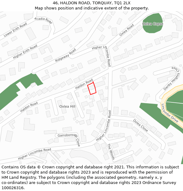 46, HALDON ROAD, TORQUAY, TQ1 2LX: Location map and indicative extent of plot