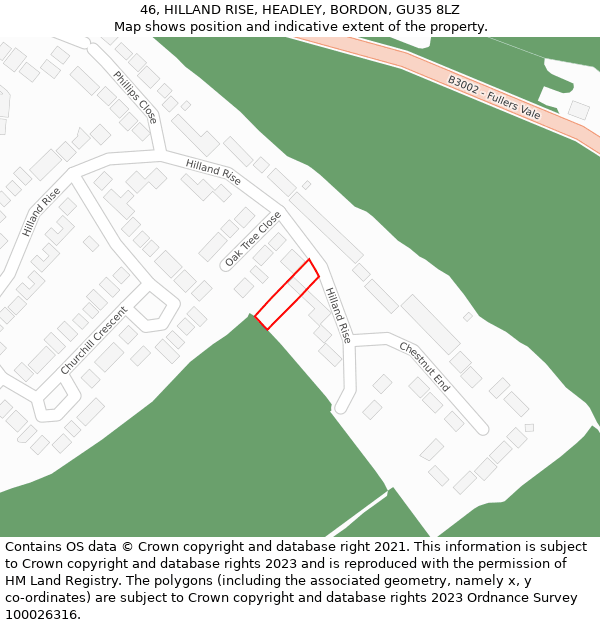 46, HILLAND RISE, HEADLEY, BORDON, GU35 8LZ: Location map and indicative extent of plot