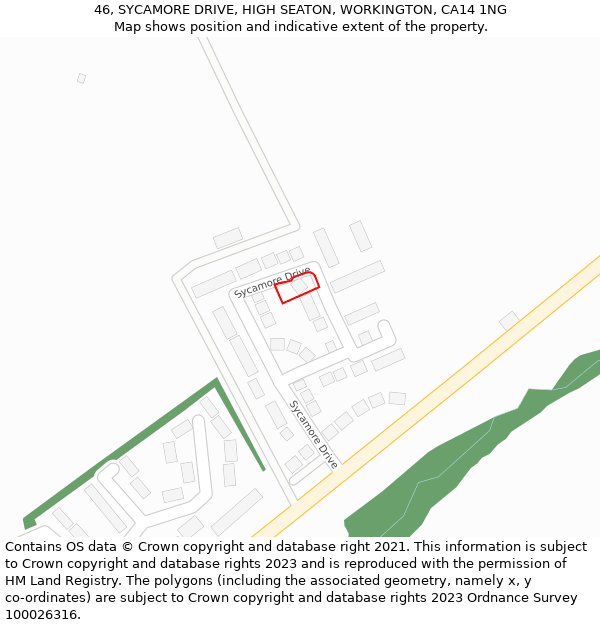 46, SYCAMORE DRIVE, HIGH SEATON, WORKINGTON, CA14 1NG: Location map and indicative extent of plot