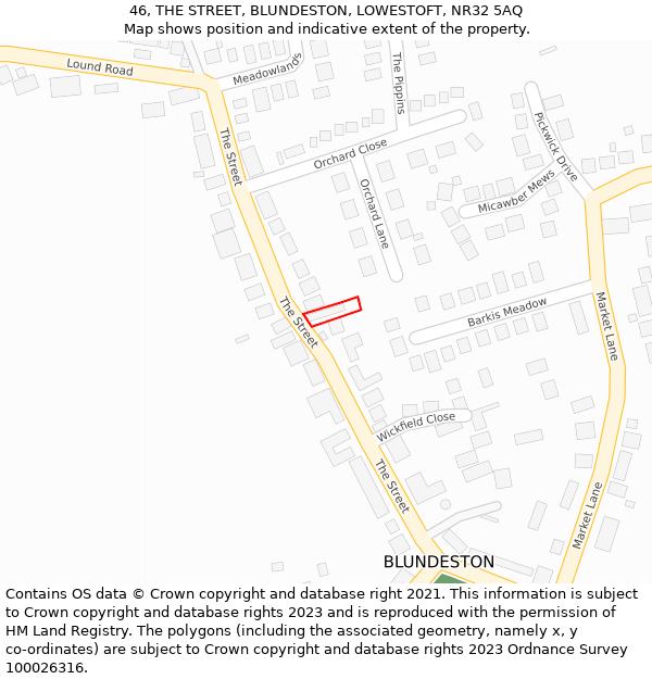 46, THE STREET, BLUNDESTON, LOWESTOFT, NR32 5AQ: Location map and indicative extent of plot