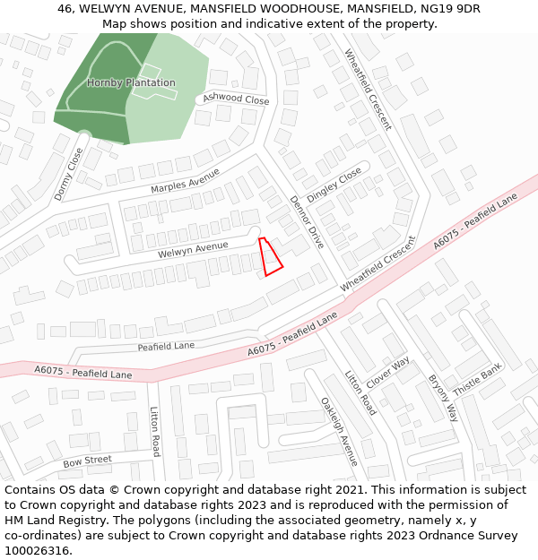 46, WELWYN AVENUE, MANSFIELD WOODHOUSE, MANSFIELD, NG19 9DR: Location map and indicative extent of plot