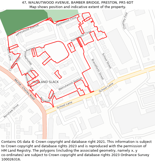 47, WALNUTWOOD AVENUE, BAMBER BRIDGE, PRESTON, PR5 6DT: Location map and indicative extent of plot